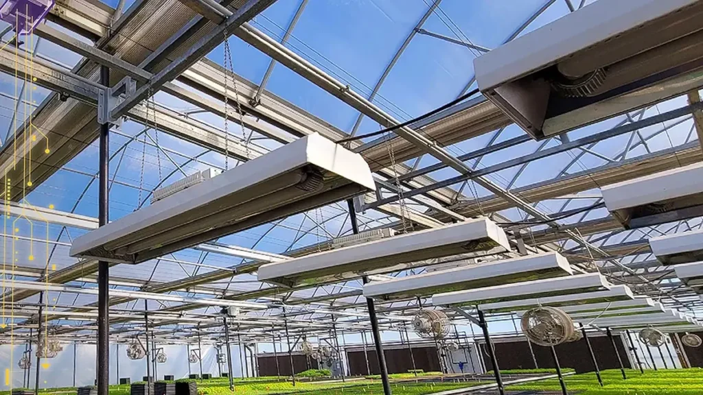 Reducing Energy Costs: Smart Lighting Solutions for Greenhouses